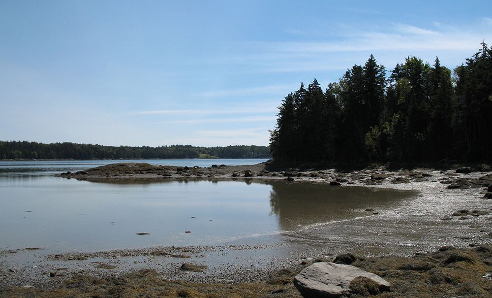 Tills Point Inset Img 0044 1000x605