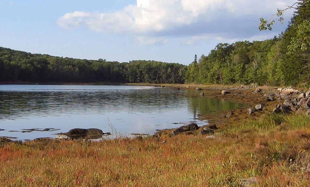 Tills Point thumb Img tillspt0003 1000x605