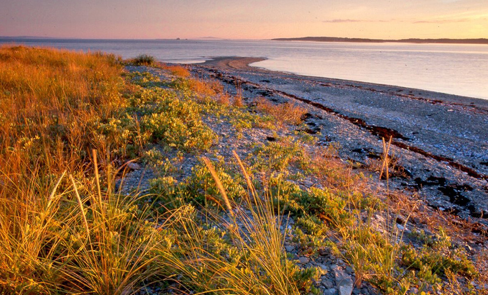 Tinker Island Inset Img 1 Tinker Island 1000x605