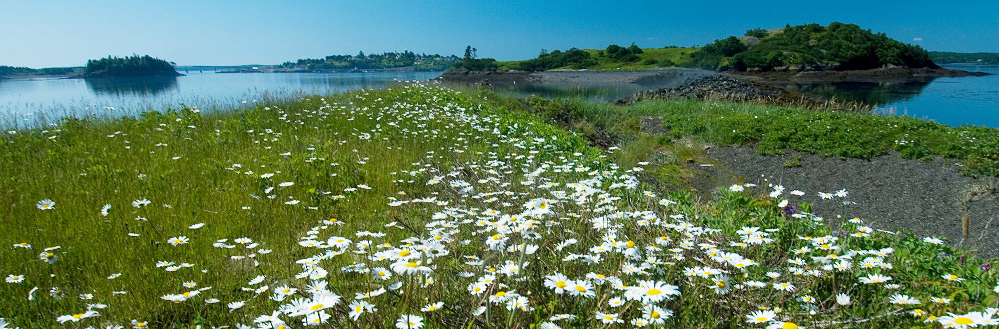 Treat Island Header Img 073 2000x660