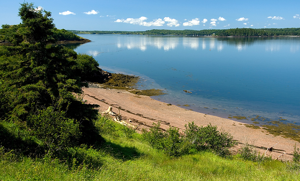 Treat Island Inset Img 076 1000x605
