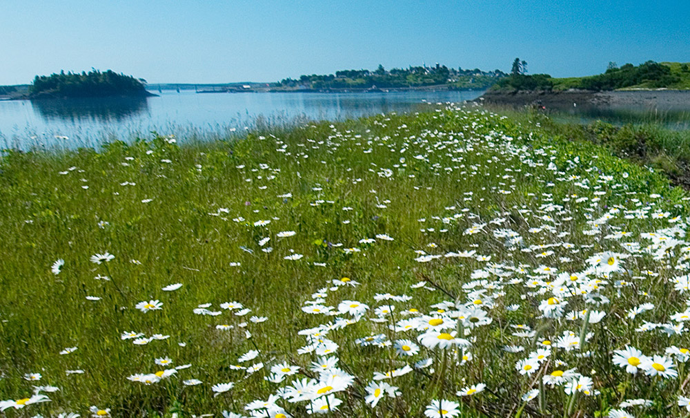 Treat Island thumb Img 073 2000x660