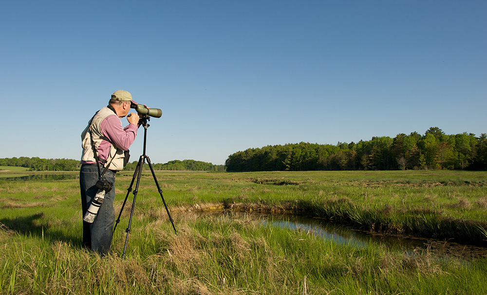 Weskeag South Thomaston Inset img 4005 1000x605