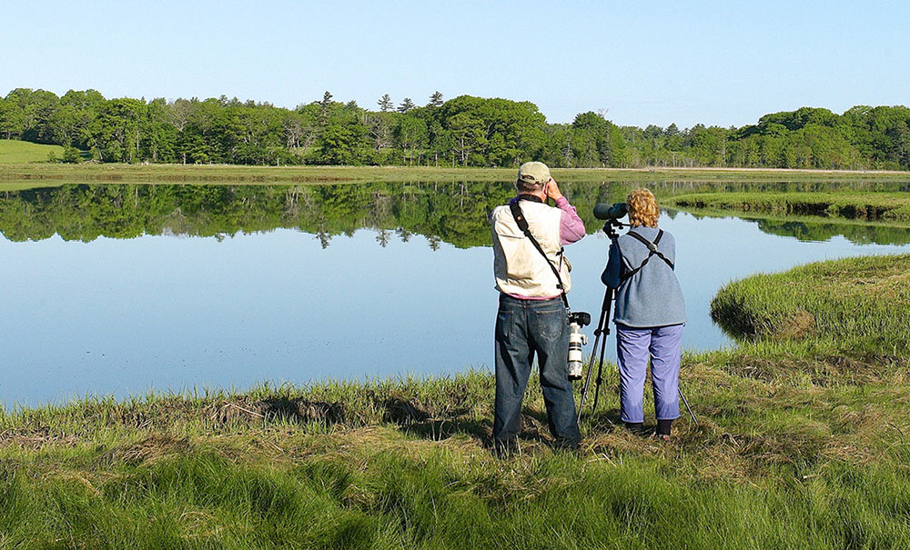 Weskeag South Thomaston thumb Img L1001909 1000x605