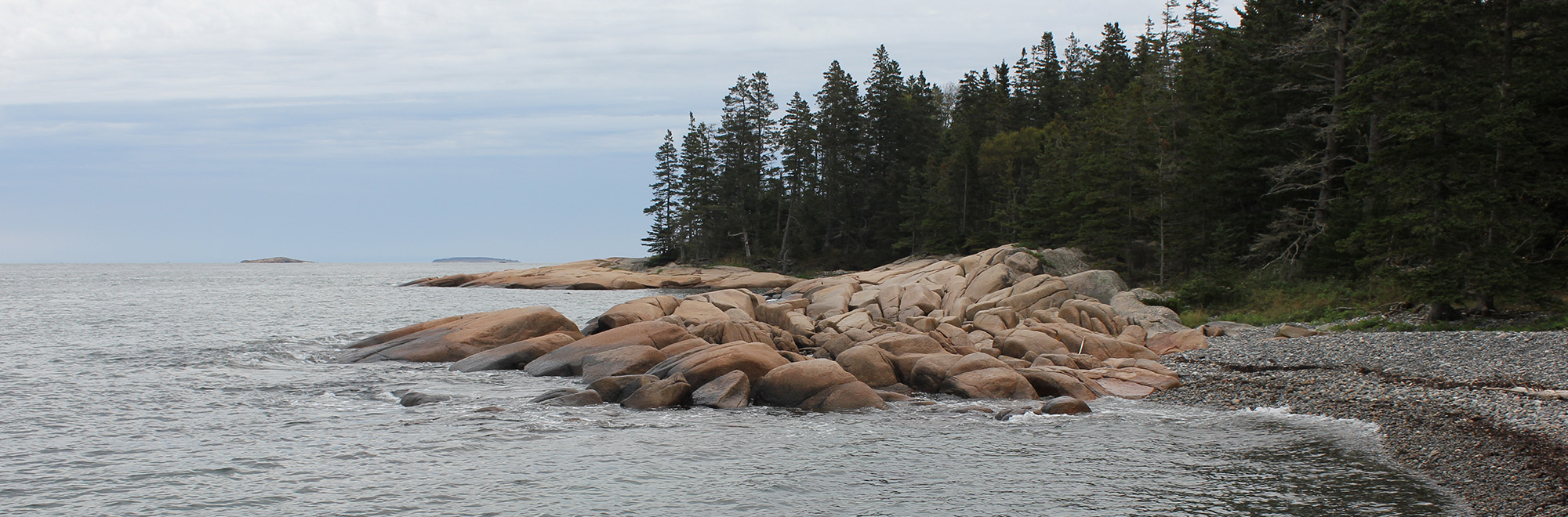West Sister Island Header img 0964 2000x660