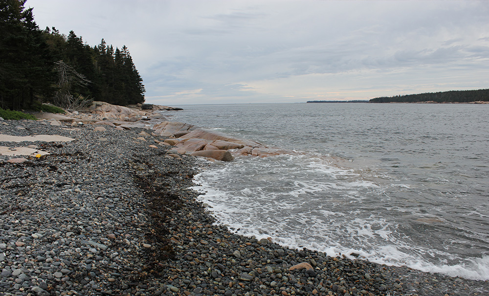 West Sister Island Inset img 0960 1000x605