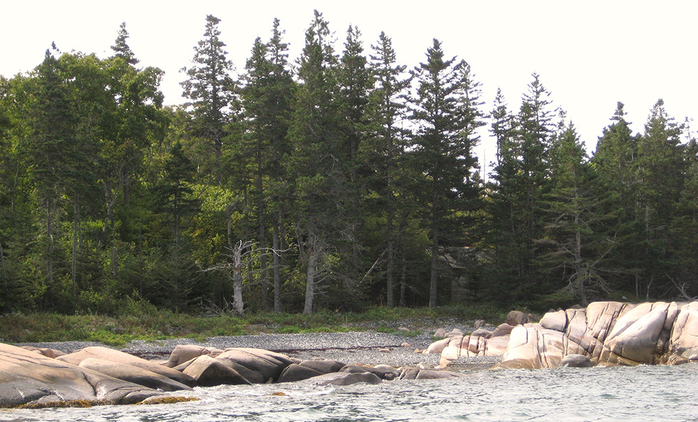 West Sister Island Inset img West Sister Pebble Beach 1000x605