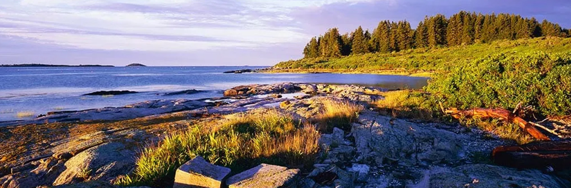 Whaleboat Island Header Img whaleboatrez 2000x660