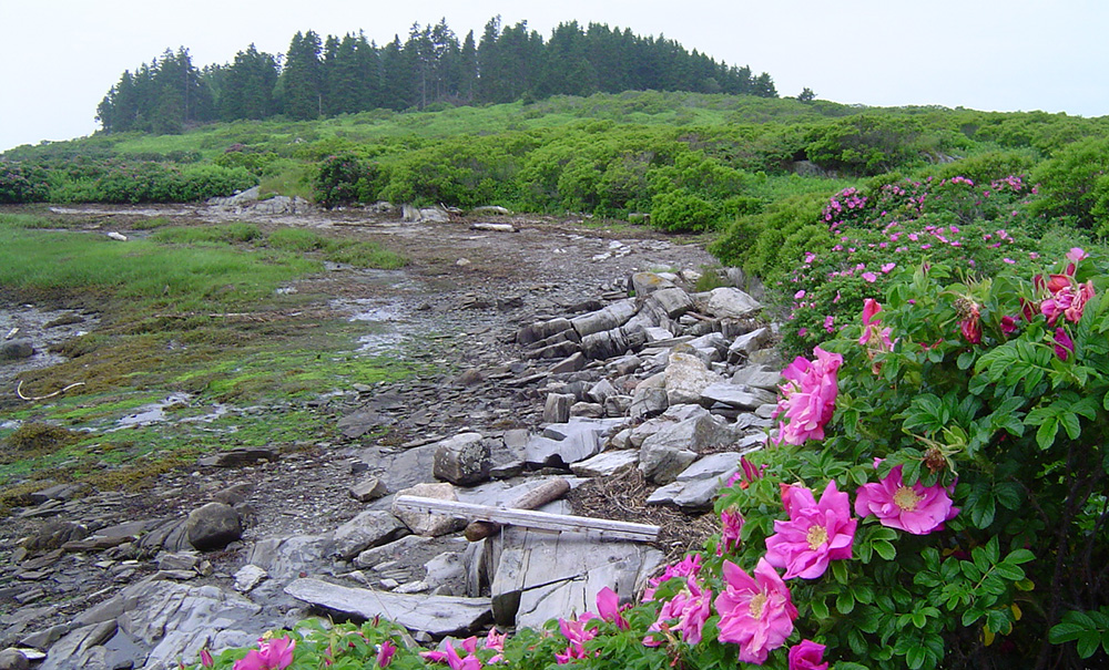 Whaleboat Island Inset Img Whaleboat Island 1000x605