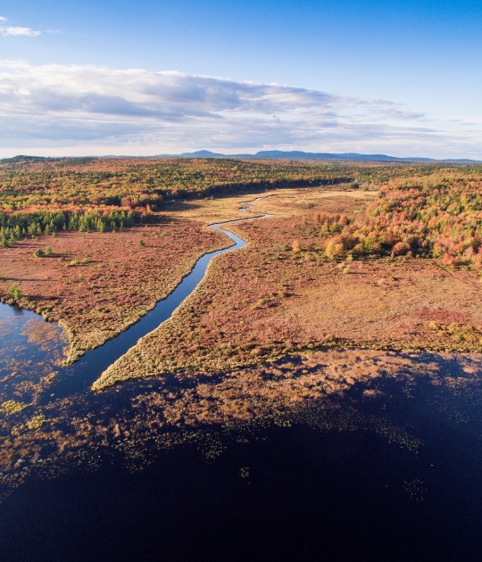 Why We Do It 270x315