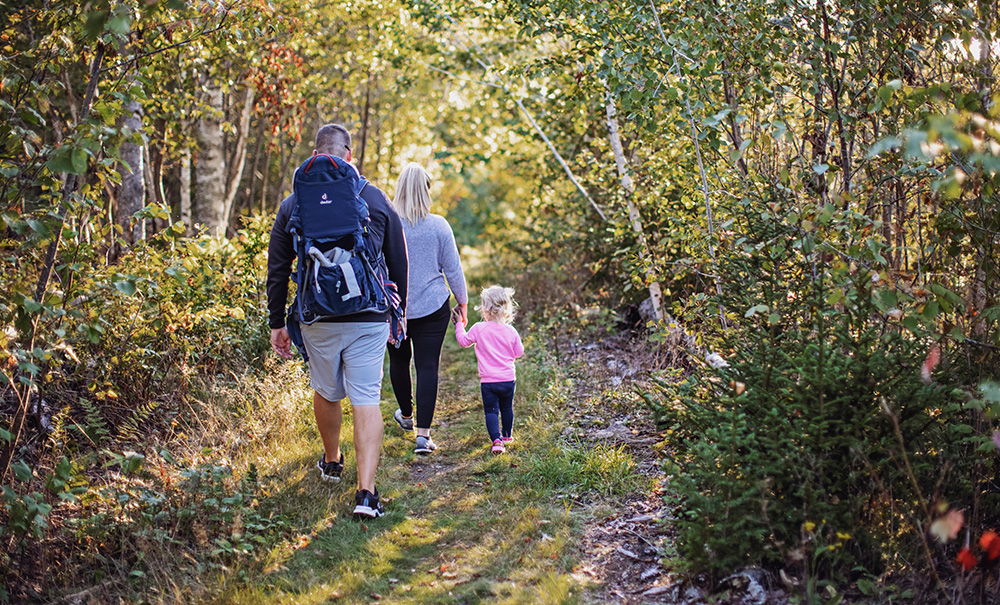 Witherie Woods Castine Inset Img 7L8A3146 1000x605