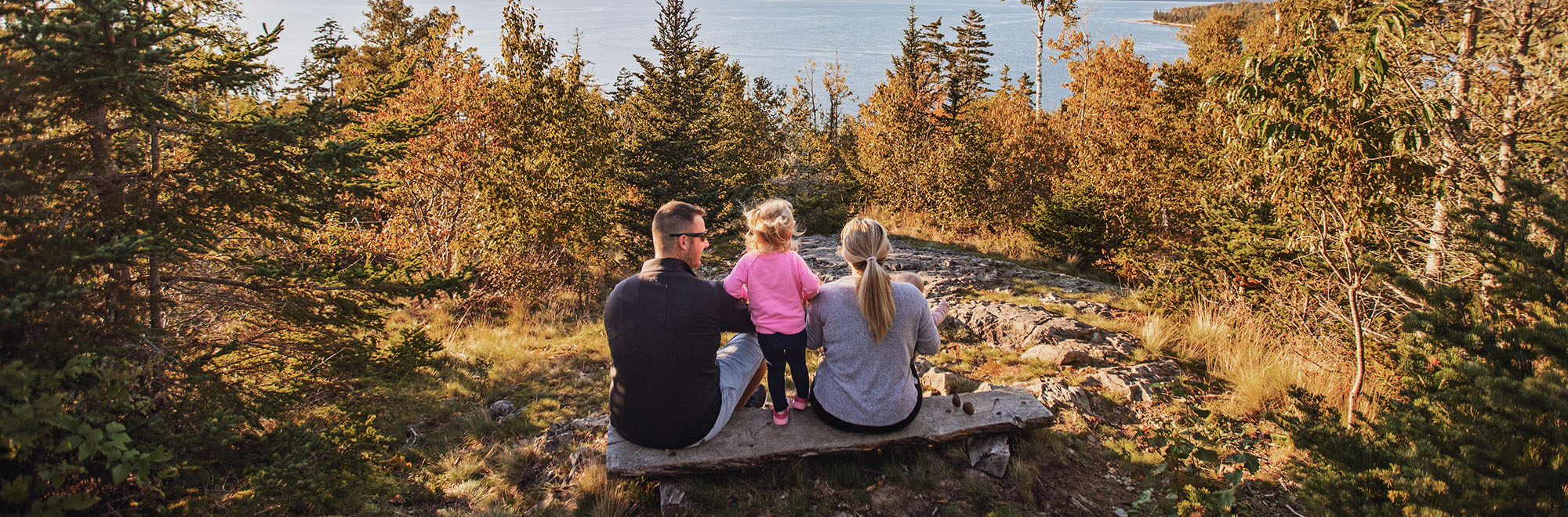 Witherle Woods Castine Header img 8985 2000x660