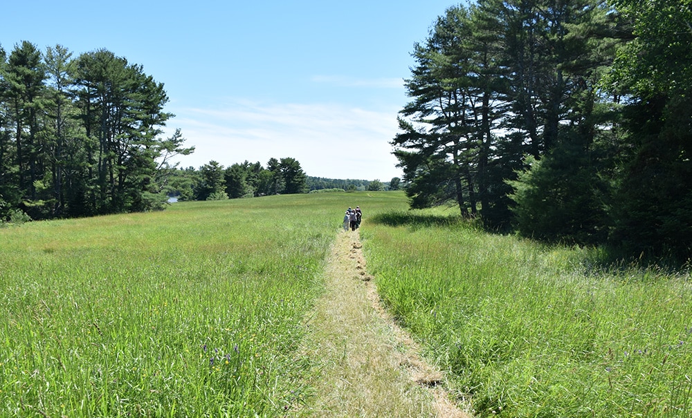 Woodward Point Inset img DSC 0206 1000x605