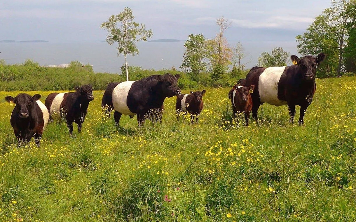 Working Farms 1220x760
