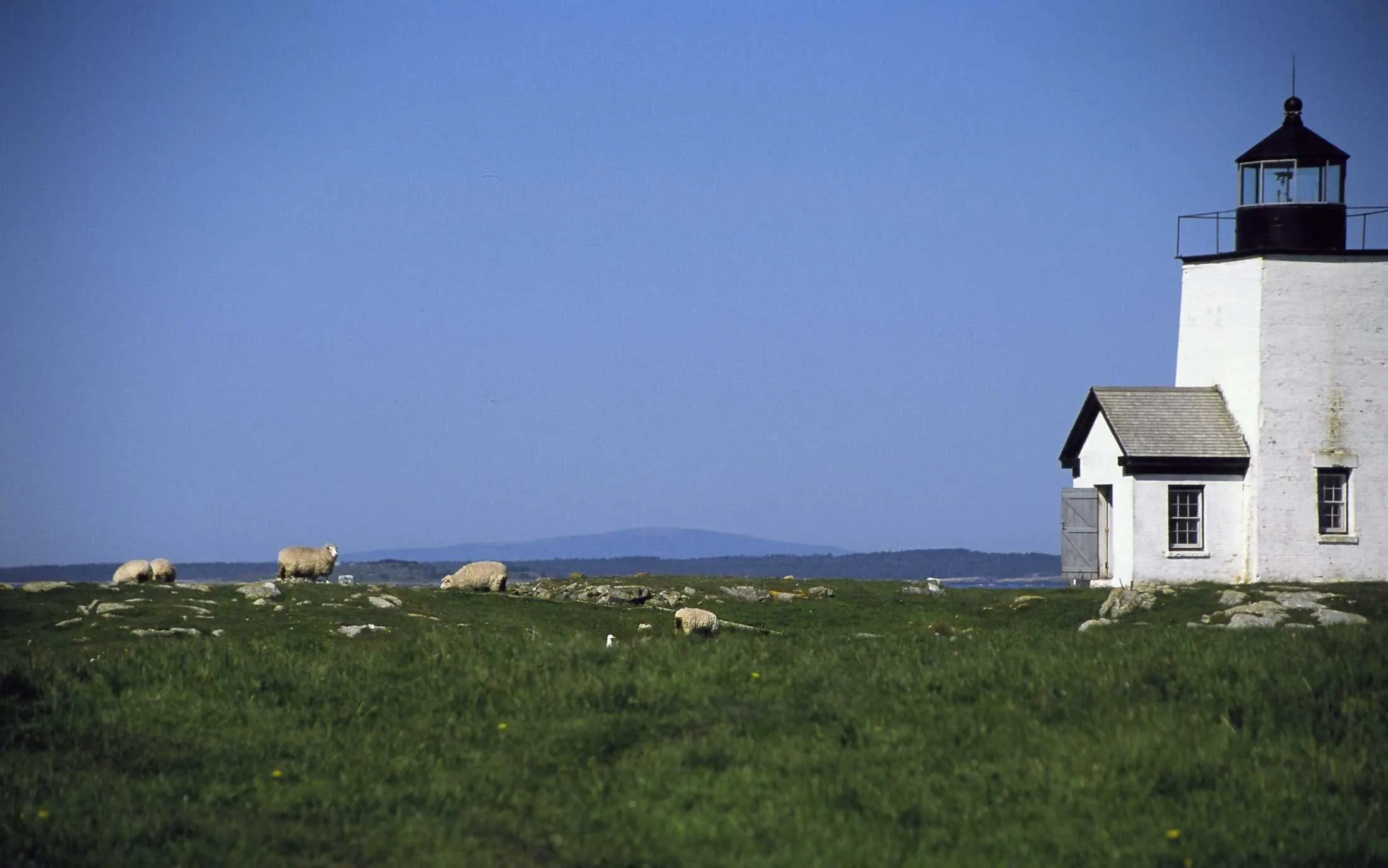 mcht 03460002 hero scaled