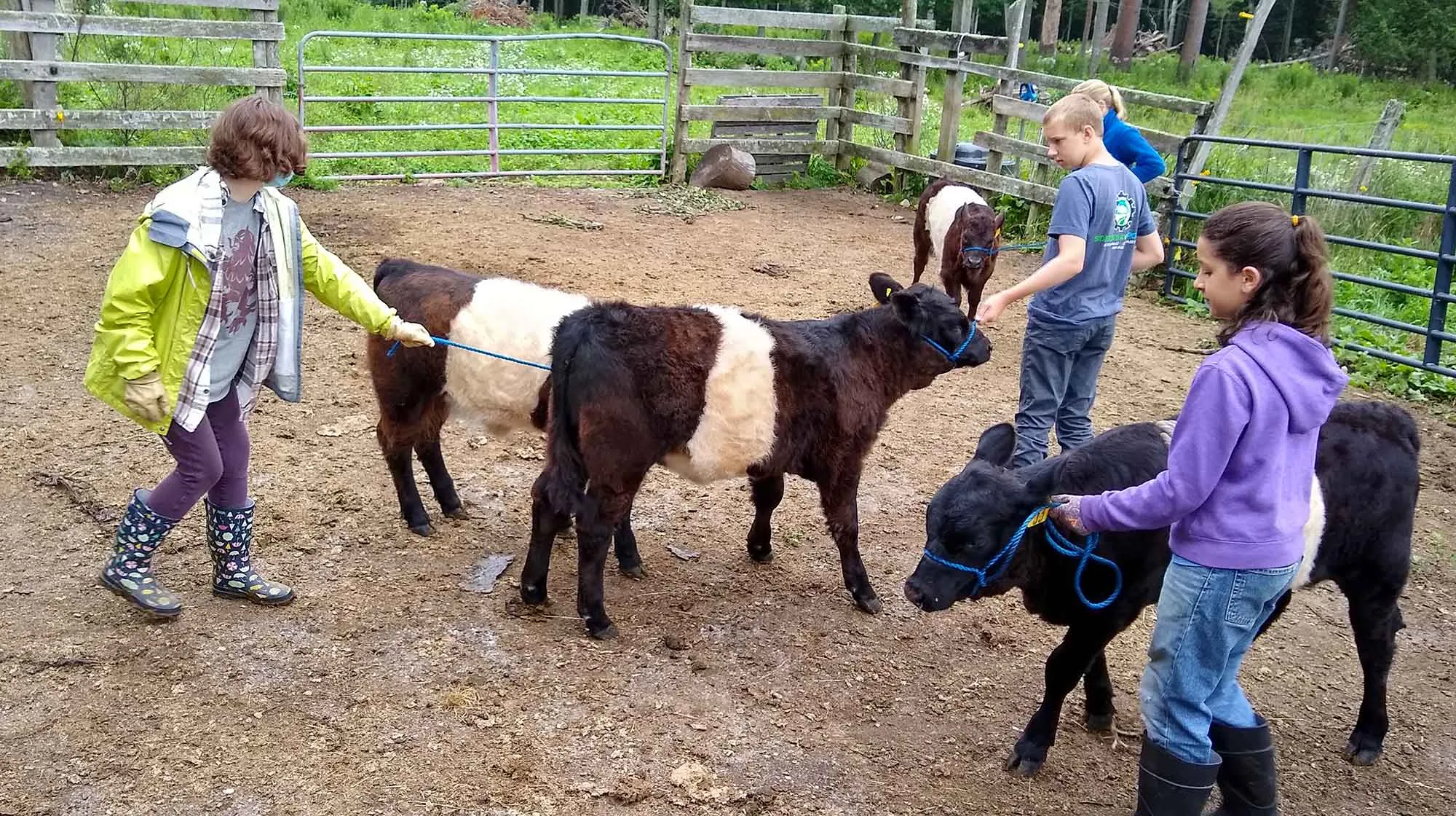 mcht 4 20210714 Aldermere Farm Hands Jessa Blackman Henry Main Violet Myrick Lea Zwecker