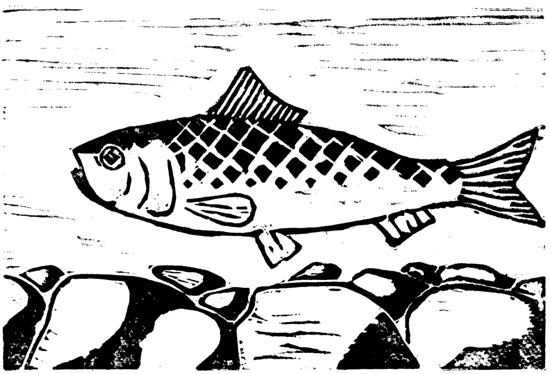 mcht Gabrielson Alewife001 full2