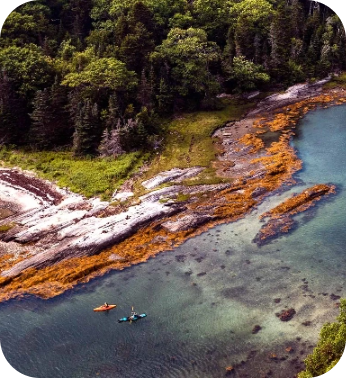 mcht Monkman Little Whaleboat 2021 003 hero2@2x