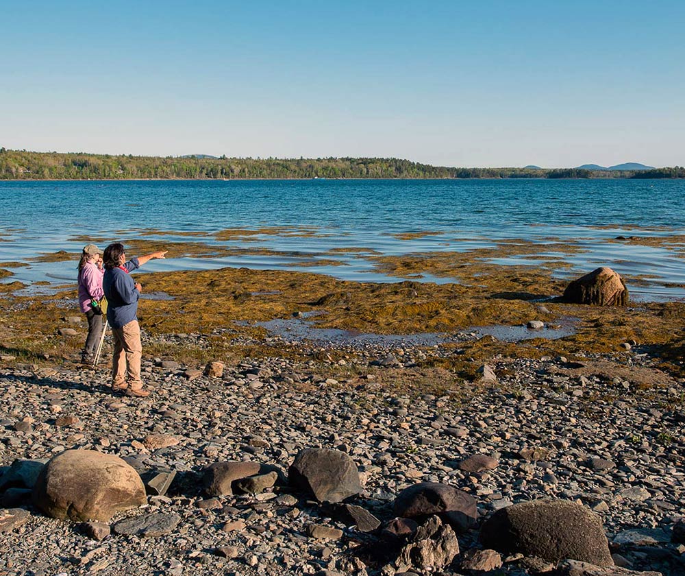 mcht Old Point 5 20 kw07728 1000x840 conserve