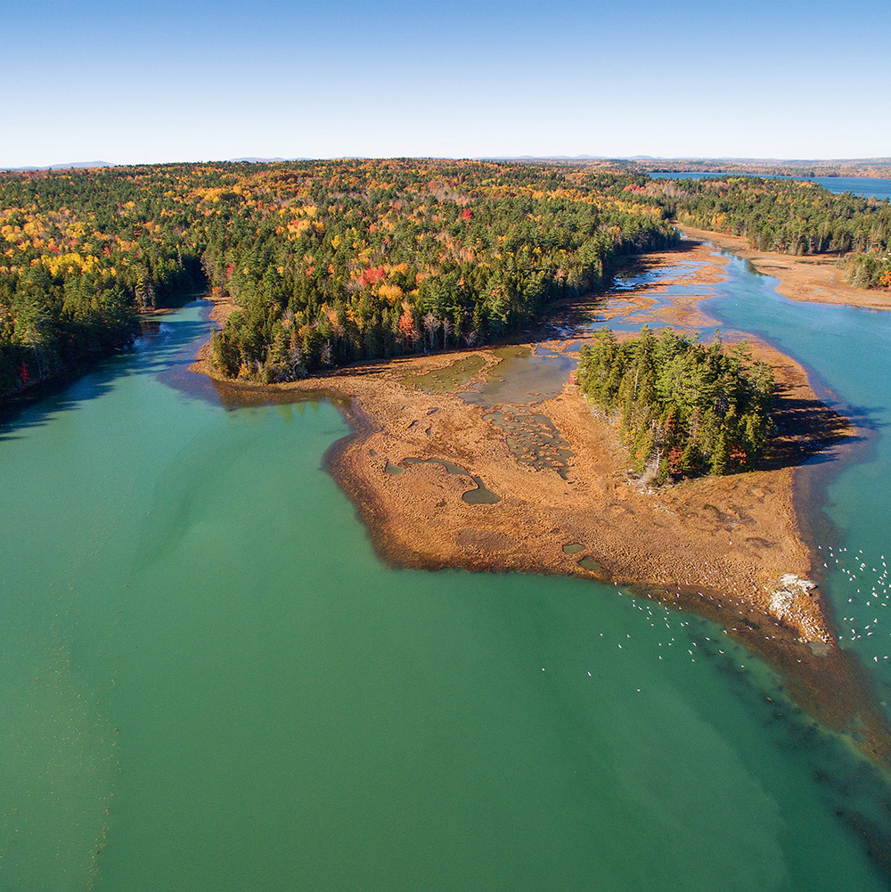 mchthancock10 16dji0624 3