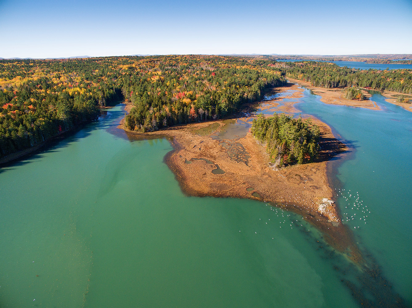 mchthancock10 16dji0624 3