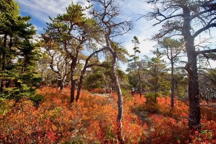 schoodicsoutheastparkboundary022