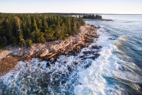 schoodicwooddji0019B