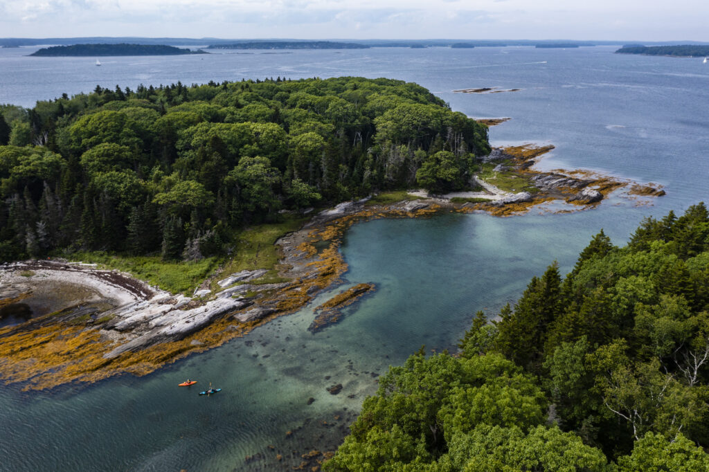 0 Monkman Little Whaleboat 2021 003 (1)