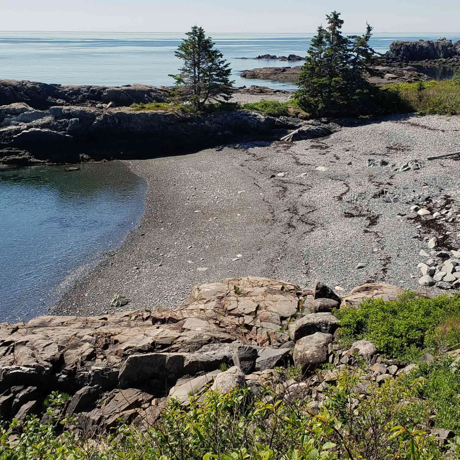 15 20200616 100133 square