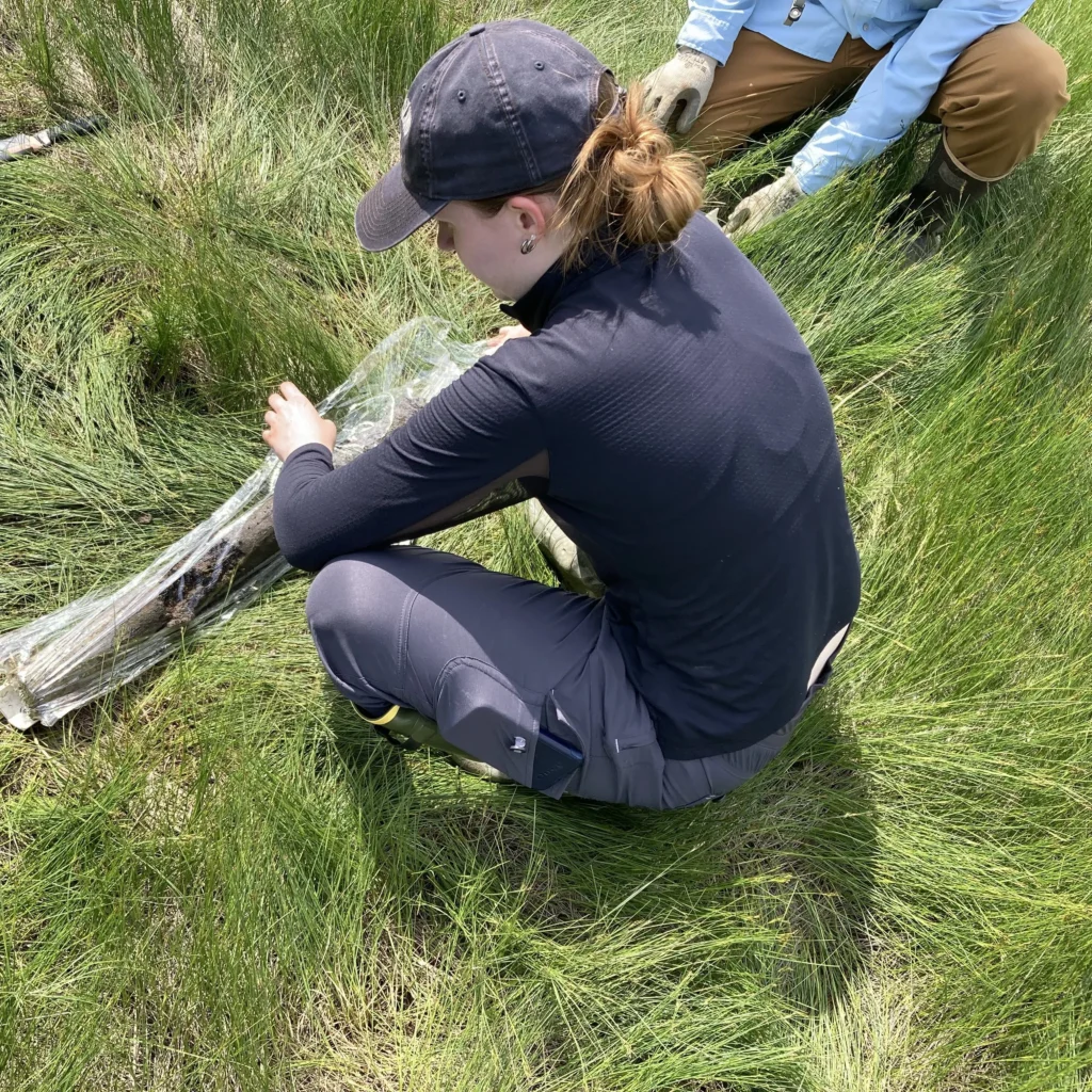 1A763ECA AA2C 4193 B2E5 A1AB653FF928 rotated e1664457295420