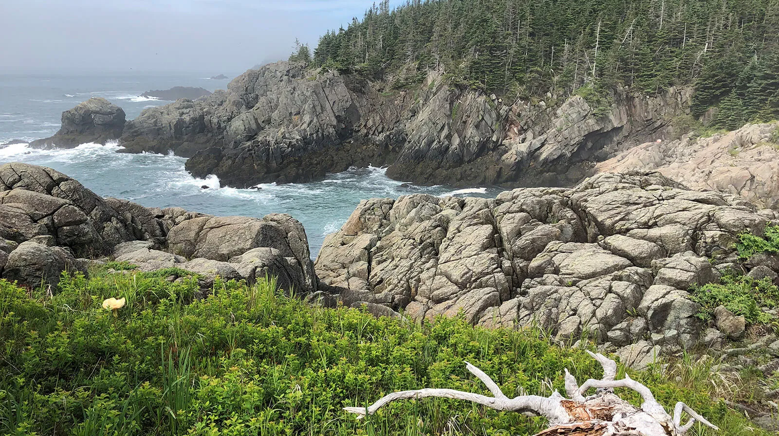 2023 Slideshow 01 CutlerHarbor 1600x896 1