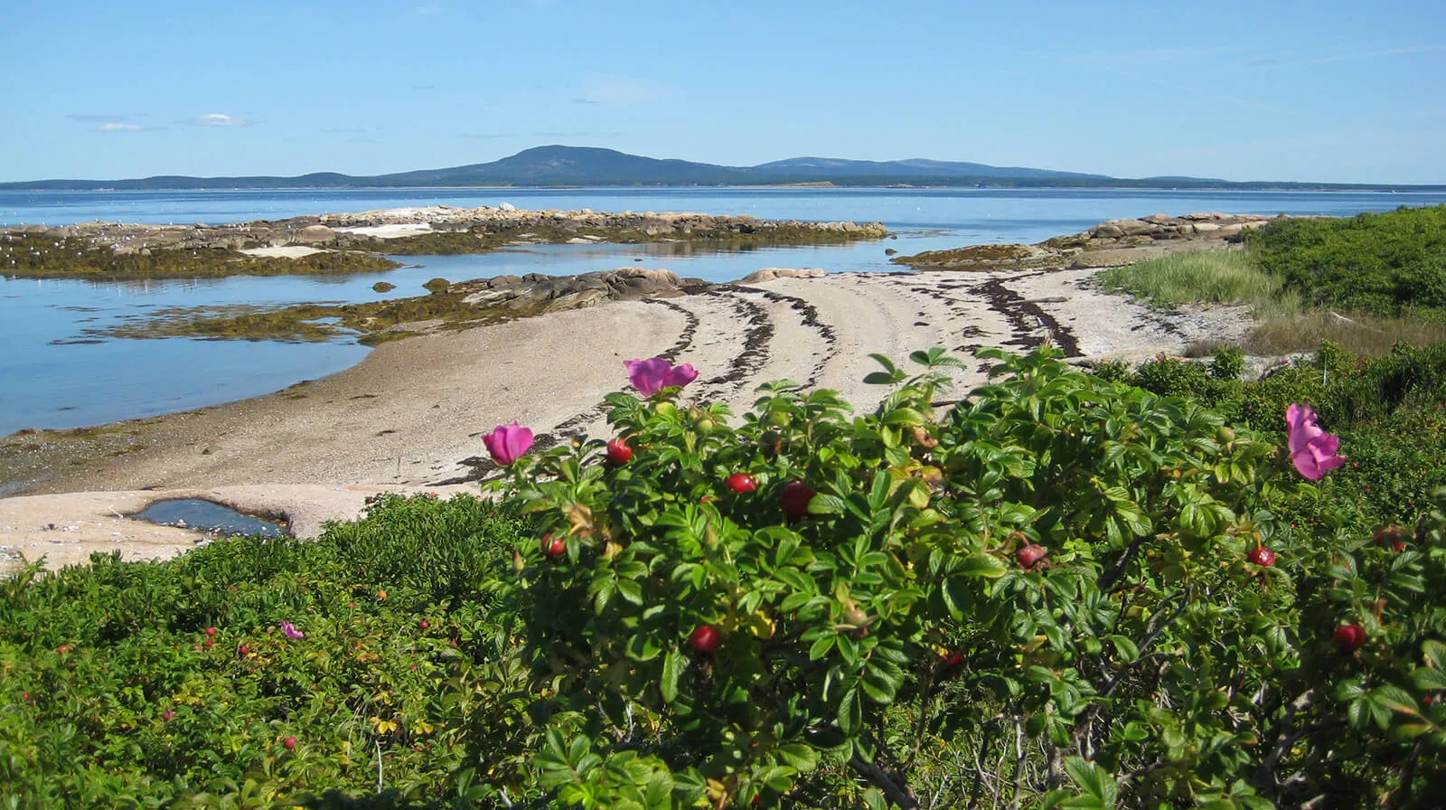 2023 Slideshow 05 SheepIsland 1600x896 1