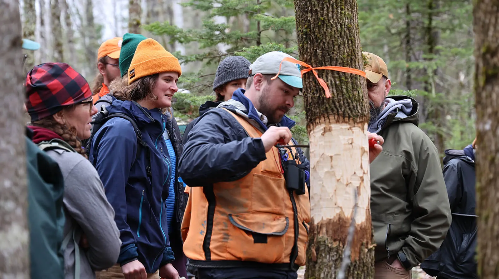 2023 Slideshow 07 AshProtection 1600x896 1