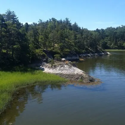 2023 YourSupport 03 MorePreserves 760x760 1 420x420