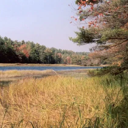 2023 YourSupport 04 ProtectedRivers 760x760 1 420x420