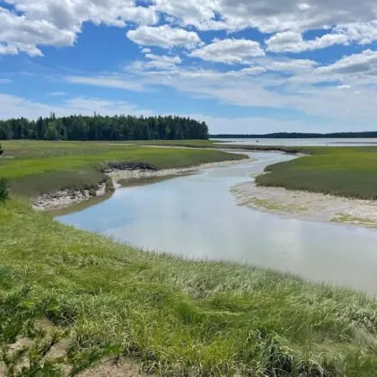 2023 YourSupport 08 ProtectedMarshes 760x760 1 420x420