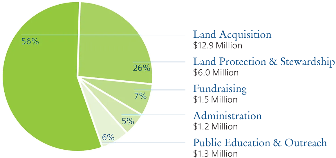 2023 annual report financials