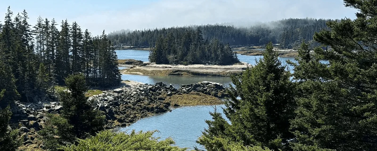 2024 Annual Report Header Image 1600x896@2x