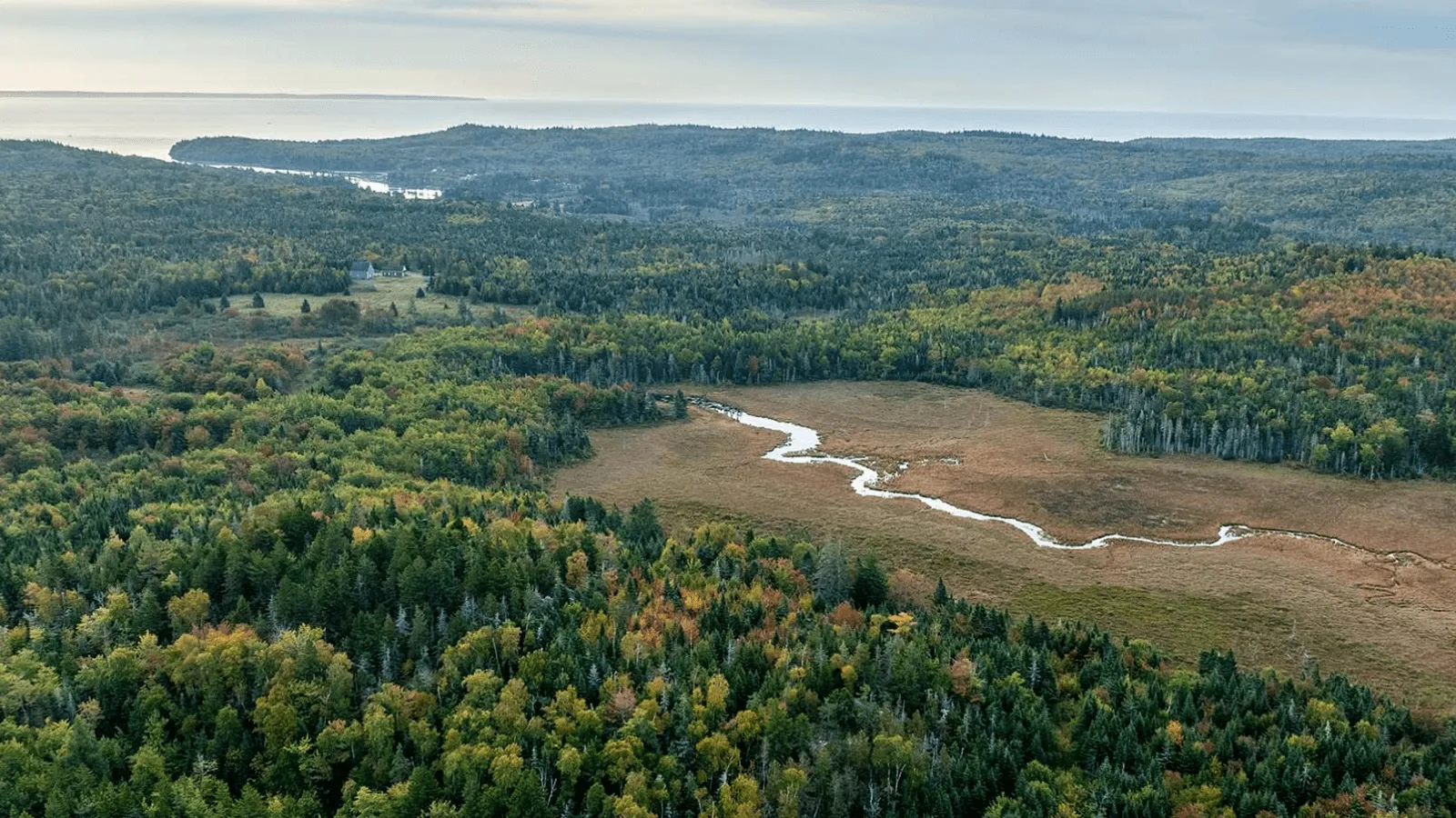 2024 Slideshow 02 Bold Coast WP 1600x896@2x