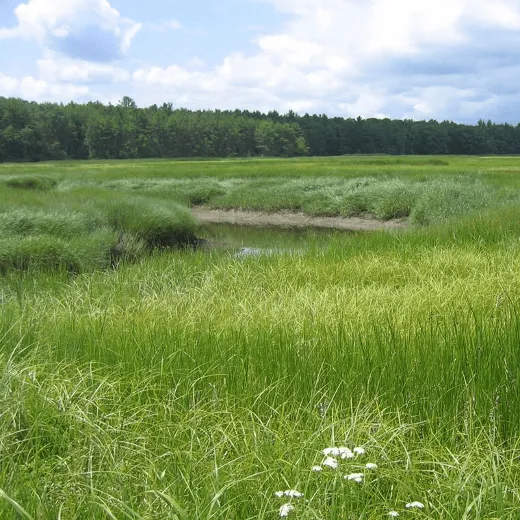 2024 YourSupport 01 York 760x760@2x