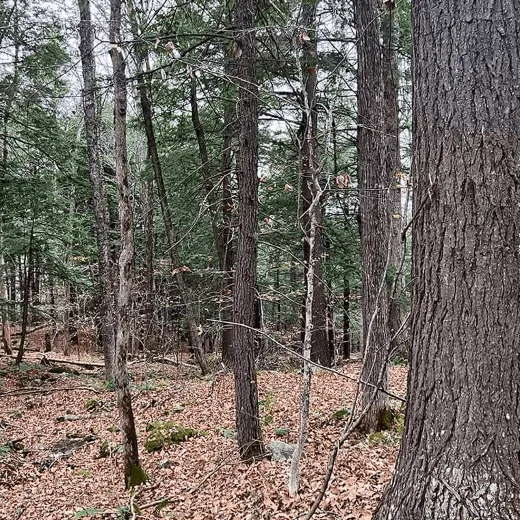 2024 YourSupport 04 Liberty 760x760@2x