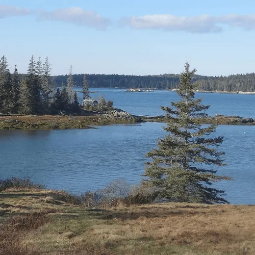 2024 YourSupport 06 Vinalhaven 760x760@2x