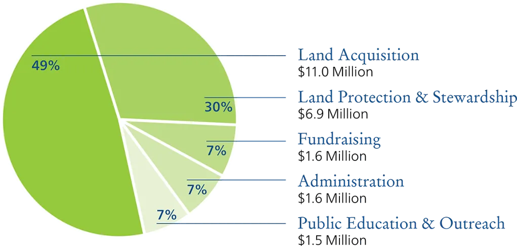 2024 annual report financials@2x