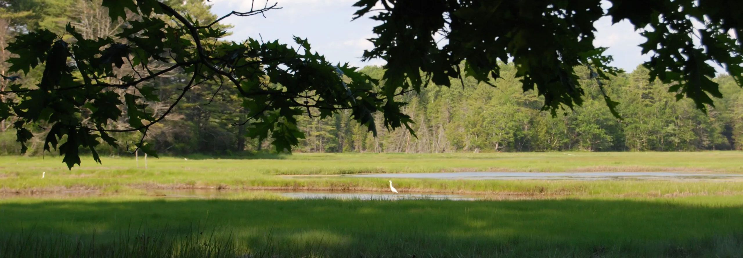 2560x889 cousins accessible 1 scaled