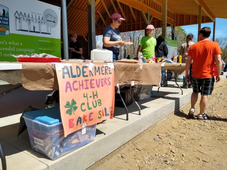 4 H Bake Sale Calf Unveiling 768x576