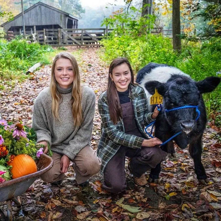 6 Cannela 6 square 768x768