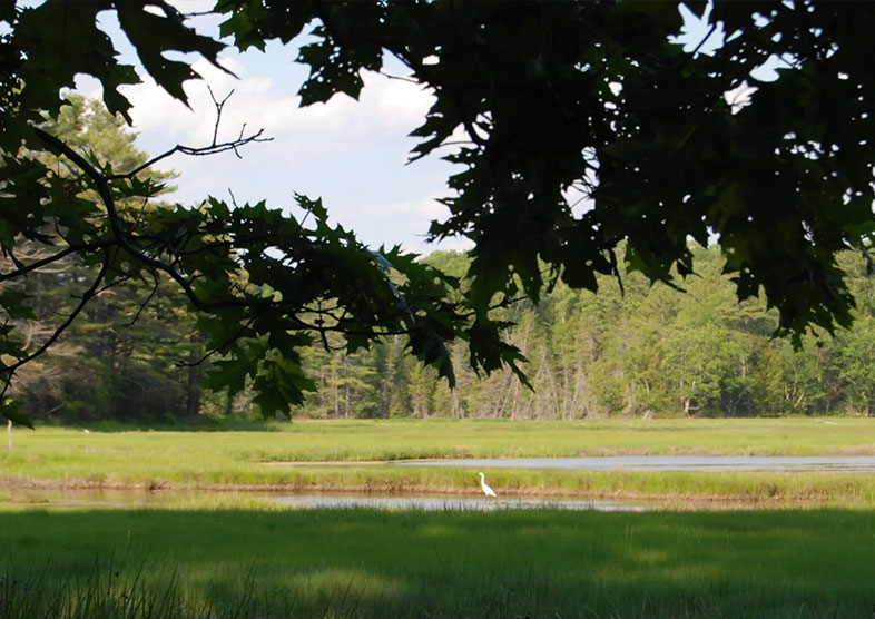 786x556 cousins accessible 1 scaled