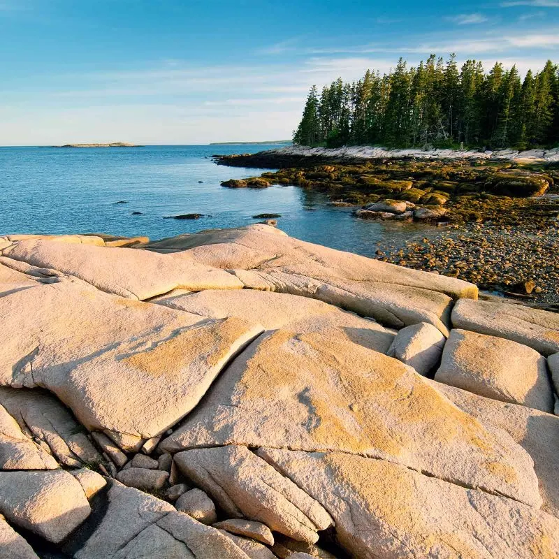 9 BlackIsland 034 square 800x800