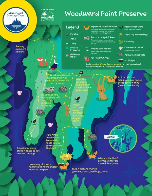 AroundWoodward v2019 10 07 forest small