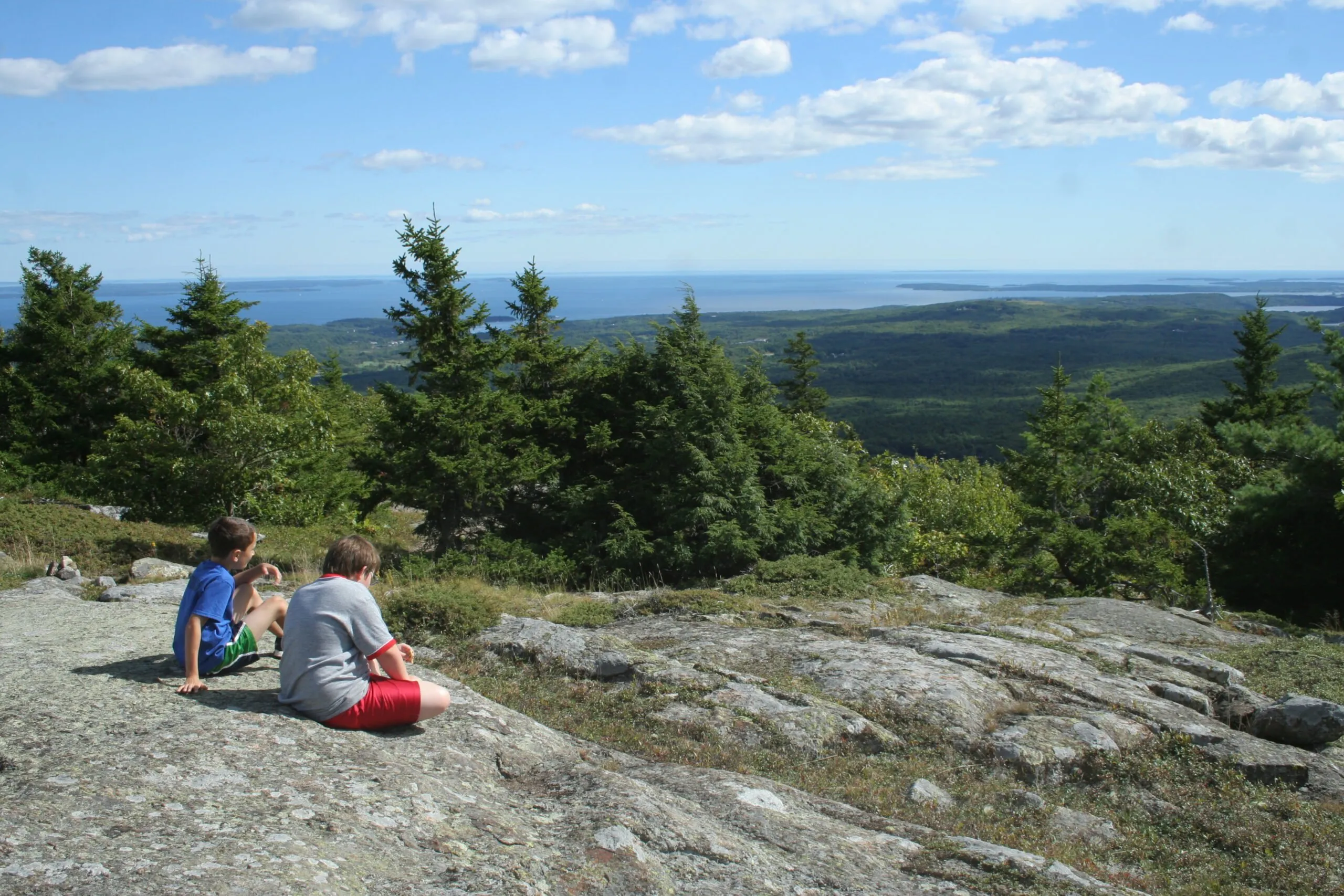 Bald and Ragged scaled